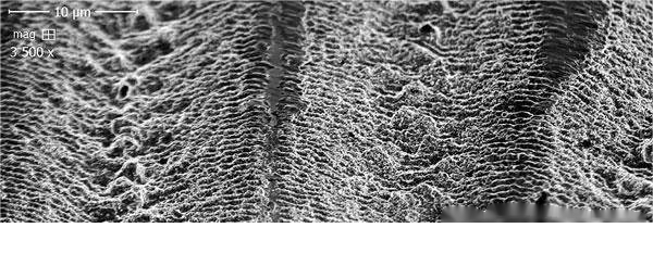 Laser etching gives rise to GaAS terahertz radiation