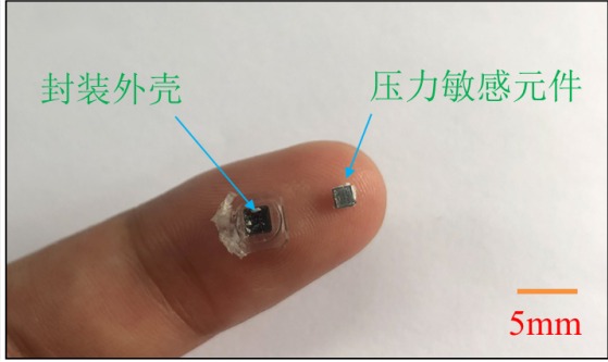 可控硅压力传感器