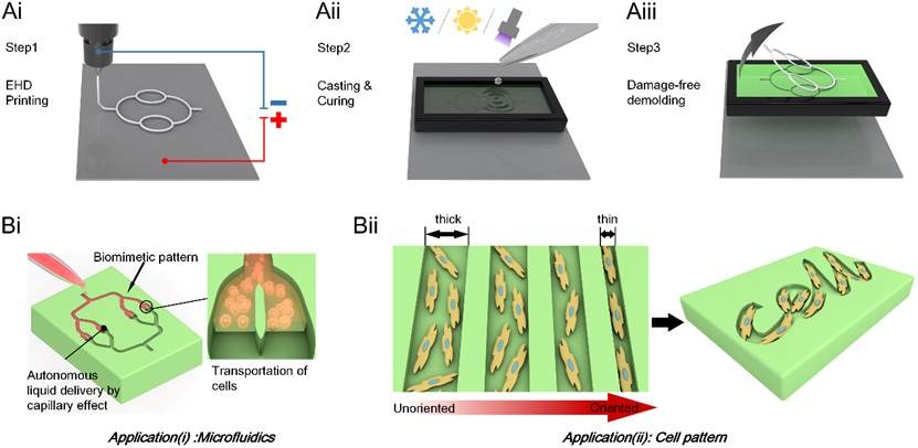 A new direction in flexible micro-nano processing technology